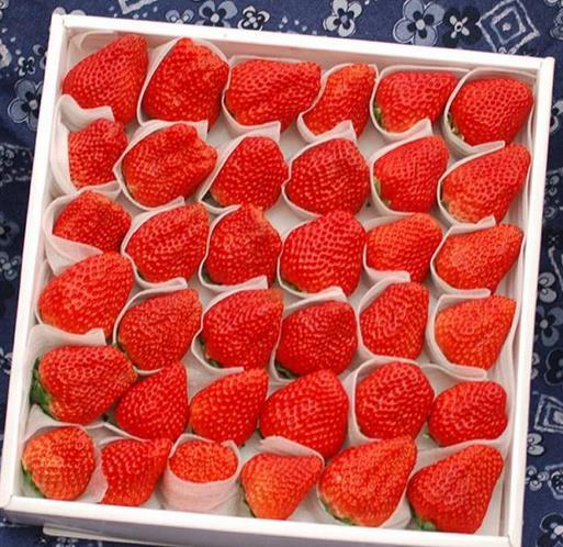 新鮮水(shui)果用EPE珍珠棉(mián)包裝的好處(chu)有哪些？